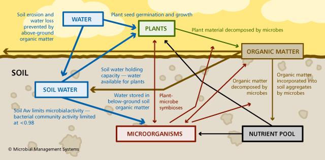 Environmental Effects On Microorganisms: Microbial Management Systems